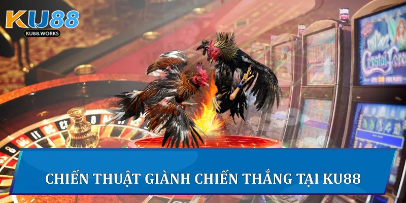 Đá Gà Trực Tiếp C1 - Đấu Trường Kịch Tính Đỉnh Cao Tại Ku88 3 Chiến thuật giành chiến thắng tại Ku88