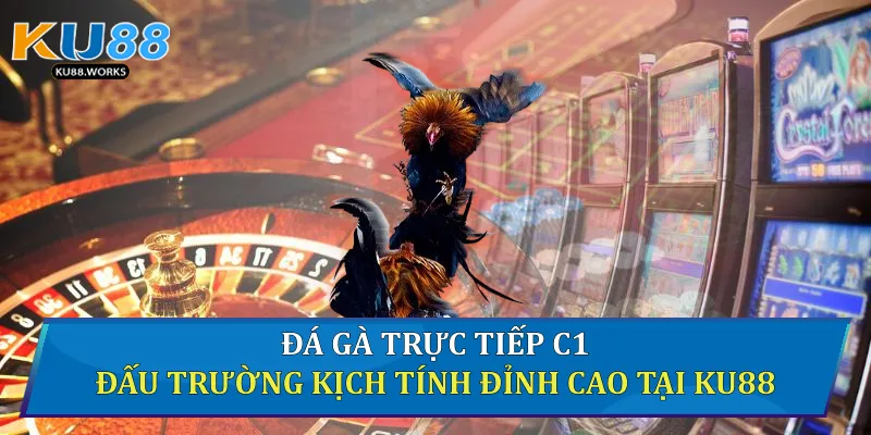 Đá Gà Trực Tiếp C1 - Đấu Trường Kịch Tính Đỉnh Cao Tại Ku88 1 Đá gà trực tiếp C1