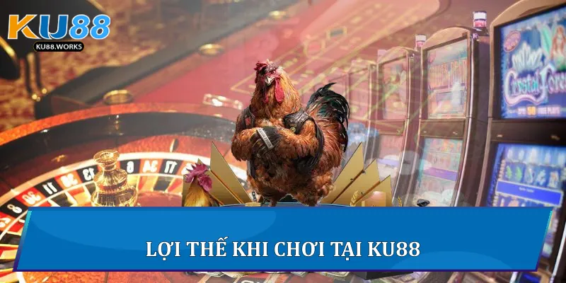Đá Gà Cựa Dao - Cuộc Chiến Của Những Chiến Kê Tại Ku88 4 Lợi thế khi chơi tại Ku88