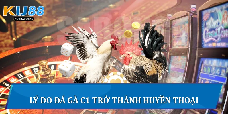 Đá Gà Trực Tiếp C1 - Đấu Trường Kịch Tính Đỉnh Cao Tại Ku88 4 Lý do đá gà C1 trở thành huyền thoại