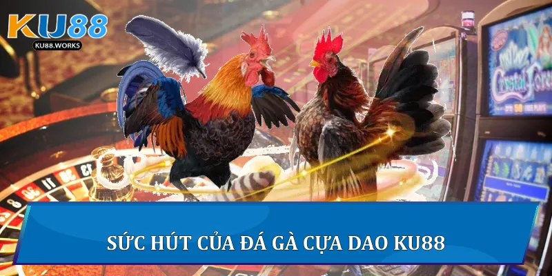 Đá Gà Cựa Dao - Cuộc Chiến Của Những Chiến Kê Tại Ku88 2 Sức hút của đá gà cựa dao Ku88